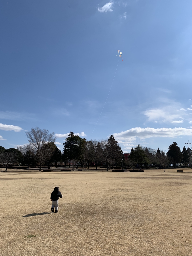 菊陽さんさん公園での凧揚げ風景